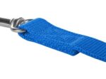 CHABA Smycz taśma S 10mm niebieska - obrazek 3