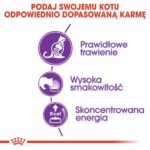 Royal Canin Sensible karma sucha dla kotów dorosłych, o wrażliwym przewodzie pokarmowym 4kg - obrazek 4