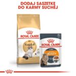 Royal Canin Ragdoll Adult karma sucha dla kotów dorosłych rasy ragdoll 400g - obrazek 5