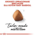Royal Canin Ragdoll Adult karma sucha dla kotów dorosłych rasy ragdoll 400g - obrazek 3